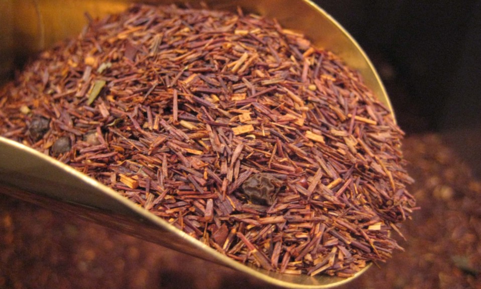 Tisane Rooibos