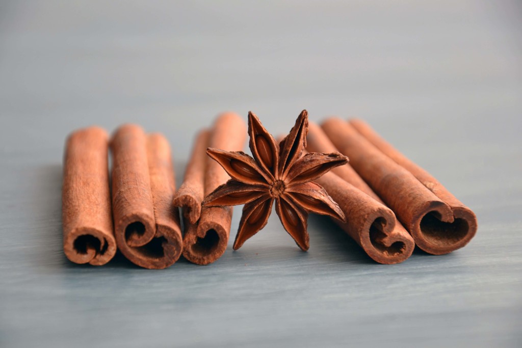 Batons de cannelle
